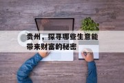贵州,探寻哪些生意能带来财富的秘密 贵州,探寻哪些生意能带来财富的秘密