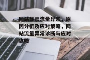网站显示流量异常，原因分析及应对策略，网站流量异常诊断与应对攻略