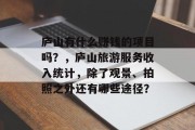 庐山有什么赚钱的项目吗?,庐山旅游服务收入统计,除了观景、拍照之外还有哪些途径? 庐山有什么赚钱的项目吗?,庐山旅游服务收入统计,除了观景、拍照之外还有哪些途径?
