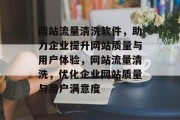 网站流量清洗软件，助力企业提升网站质量与用户体验，网站流量清洗，优化企业网站质量与用户满意度