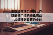 去农场做什么赚钱,养殖前景广阔的绿色农业,从播种到收获的全过程 去农场做什么赚钱,养殖前景广阔的绿色农业,从播种到收获的全过程