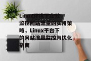 Linux环境下高效监控网站流量的实用策略，Linux平台下的网站流量监控与优化指南