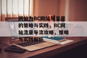 网站为BC网站导流量的策略与实践，BC网站流量导流攻略，策略与实践解析