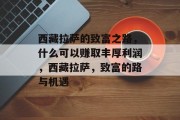 西藏拉萨的致富之路,什么可以赚取丰厚利润,西藏拉萨,致富的路与机遇 西藏拉萨的致富之路,什么可以赚取丰厚利润,西藏拉萨,致富的路与机遇