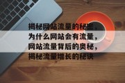 揭秘网站流量的秘密，为什么网站会有流量，网站流量背后的奥秘，揭秘流量增长的秘诀