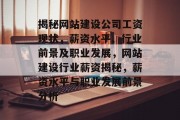 揭秘网站建设公司工资现状，薪资水平、行业前景及职业发展，网站建设行业薪资揭秘，薪资水平与职业发展前景分析