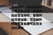 深度解析，如何查看自己网站的流量，掌握网站运营主动权，掌握网站流量秘籍，深度解析网站流量查看与运营主动权掌控