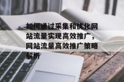 如何通过采集和优化网站流量实现高效推广，网站流量高效推广策略解析