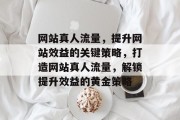 网站真人流量，提升网站效益的关键策略，打造网站真人流量，解锁提升效益的黄金策略