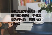 手机流量为何秒没，原因与应对策略，手机流量为何秒没，原因与应对策略