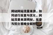 揭秘网站流量来源，如何进行反查与优化，网站流量来源揭秘，反查与优化策略全解析