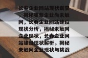 长春企业网站现状调查，揭秘哪些企业尚未触网，长春企业网站建设现状分析，揭秘未触网企业现状，长春企业网站建设现状解析，揭秘未触网企业现状与挑战