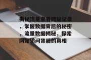 揭秘流量查看网站记录，掌握数据背后的秘密，流量数据揭秘，探索网站访问背后的真相