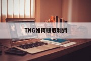 TNG如何赚取利润 TNG如何赚取利润