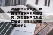 湖南网站流量崛起，解析地域互联网发展新趋势，湖南互联网流量迅猛增长，揭秘地域网络发展新动向