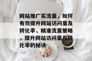 网站推广买流量，如何有效提升网站访问量及转化率，精准流量策略，提升网站访问量与转化率的秘诀