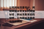 公司网站流量统计，揭秘网站运营背后的数据秘密，网站流量背后的秘密，公司网站流量统计分析揭秘