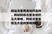 网站流量费用如何盈利，揭秘网络流量变现的五大策略，网络流量变现五大盈利策略揭秘
