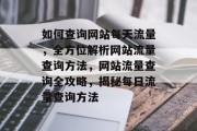 如何查询网站每天流量，全方位解析网站流量查询方法，网站流量查询全攻略，揭秘每日流量查询方法