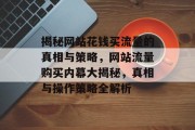 揭秘网站花钱买流量的真相与策略，网站流量购买内幕大揭秘，真相与操作策略全解析