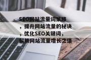 SEO网站流量词策略，提升网站流量的秘诀，优化SEO关键词，解锁网站流量增长之道