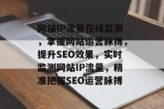 网站IP流量在线监测，掌握网站运营脉搏，提升SEO效果，实时监测网站IP流量，精准把握SEO运营脉搏