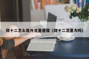 双十二怎么提升流量速度（双十二流量大吗）
