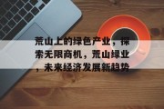 荒山上的绿色产业，探索无限商机，荒山绿业，未来经济发展新趋势