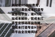 揭秘建H5网站费用，如何以最低成本打造专业移动平台，建H5网站成本解析，低成本打造专业移动平台攻略，低成本打造专业H5移动平台全攻略揭秘