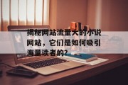 揭秘网站流量大的小说网站,它们是如何吸引海量读者的? 揭秘网站流量大的小说网站,它们是如何吸引海量读者的?
