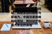 揭秘中国流量最高的网站，揭秘背后的秘密与影响力，中国流量巅峰网站揭秘，揭秘秘密影响力背后的真相