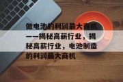做电池的利润最大商机——揭秘高薪行业,揭秘高薪行业,电池制造的利润最大商机 做电池的利润最大商机——揭秘高薪行业,揭秘高薪行业,电池制造的利润最大商机