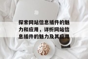 探索网站信息插件的魅力和应用,详析网站信息插件的魅力及其应用 探索网站信息插件的魅力和应用,详析网站信息插件的魅力及其应用