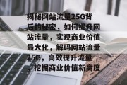 揭秘网站流量25G背后的秘密，如何提升网站流量，实现商业价值最大化，解码网站流量25G，高效提升流量，挖掘商业价值新高度
