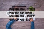 揭秘网络奥秘，教你如何查看其他网站流量，解码网络流量，揭秘查看网站访问量技巧