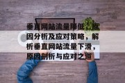 垂直网站流量降低，原因分析及应对策略，解析垂直网站流量下滑，原因剖析与应对之道