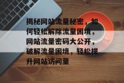 揭秘网站流量秘密，如何轻松解除流量困境，网站流量密码大公开，破解流量困境，轻松提升网站访问量