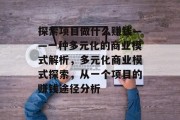 探索项目做什么赚钱——一种多元化的商业模式解析,多元化商业模式探索,从一个项目的赚钱途径分析 探索项目做什么赚钱——一种多元化的商业模式解析,多元化商业模式探索,从一个项目的赚钱途径分析