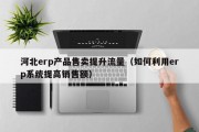 河北erp产品售卖提升流量（如何利用erp系统提高销售额）