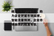 精准预测网站流量，助力企业把握市场脉搏，智能流量预测，企业市场脉搏的精准导航
