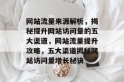 网站流量来源解析，揭秘提升网站访问量的五大渠道，网站流量提升攻略，五大渠道揭秘网站访问量增长秘诀