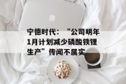 宁德时代：“公司明年1月计划减少磷酸铁锂生产”传闻不属实