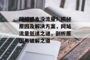 网站根本没流量？揭秘原因及解决方案，网站流量低迷之谜，剖析原因与破解之道