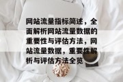 网站流量指标简述，全面解析网站流量数据的重要性与评估方法，网站流量数据，重要性解析与评估方法全览