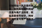 揭秘网站一天流量的奥秘，如何高效提升网站流量与用户活跃度，网站流量提升秘诀，揭秘日增流量与用户活跃之道