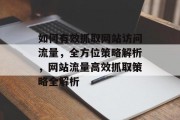 如何有效抓取网站访问流量，全方位策略解析，网站流量高效抓取策略全解析