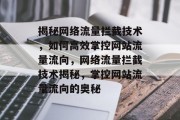 揭秘网络流量拦截技术，如何高效掌控网站流量流向，网络流量拦截技术揭秘，掌控网站流量流向的奥秘