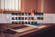 网站流量之谜，揭秘网站流量增长之道，揭秘网站流量增长奥秘