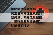 揭秘网站流量密码，如何查看网站流量及提升访问量，网站流量秘籍，揭秘查看与提升网站访问量的技巧