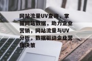 网站流量UV查询，掌握网站数据，助力企业营销，网站流量与UV分析，数据驱动企业营销决策